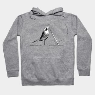 The Early Bird Hoodie